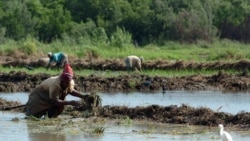Alimentos con dinero de Europa Alimentos con dinero de Europa