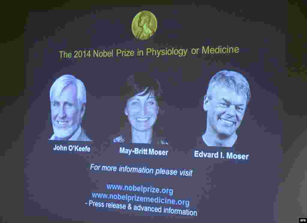 Una pantalla muestra los retratos del estadounidense John O'Keefe y los noruegos May-Britt Moser y Edvard I. Moser durante el anuncio de los premiados con el Premio Nobel de Medicina.