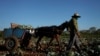 El campesino Luis Plutin en Santiago de las Vegas, La Habana, el 2 de abril de 2020 (Alexandre Meneghini / Reuters).