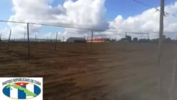 Campos de tabaco en San Juan y Martínez Campos de tabaco en San Juan y Martínez